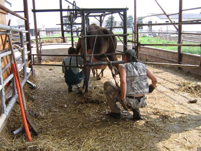 Troubelice 2006 046.jpg